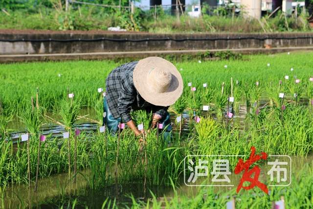 微信图片_20240516111539.jpg