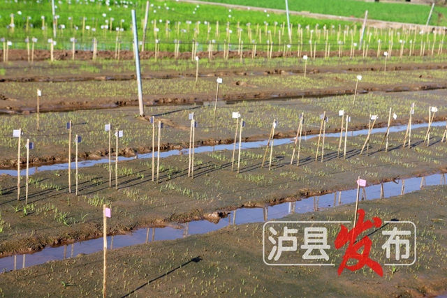 微信图片_20240516111548.jpg