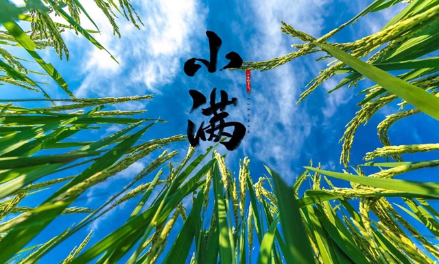 【围观】气温升！升！升！今天起，串串、火锅要少吃！