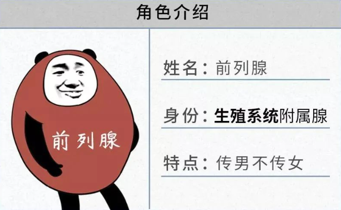 专病专治 精准诊疗｜合江县中医医院前列腺专病门诊