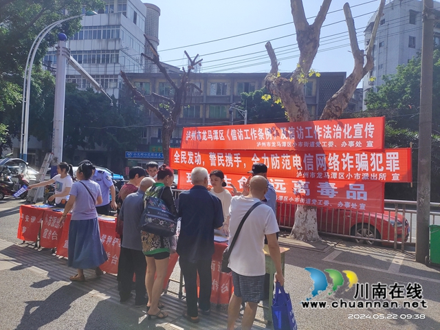 龙马潭区小市街道开展《信访工作条例》及信访工作法治化集中宣传日活动