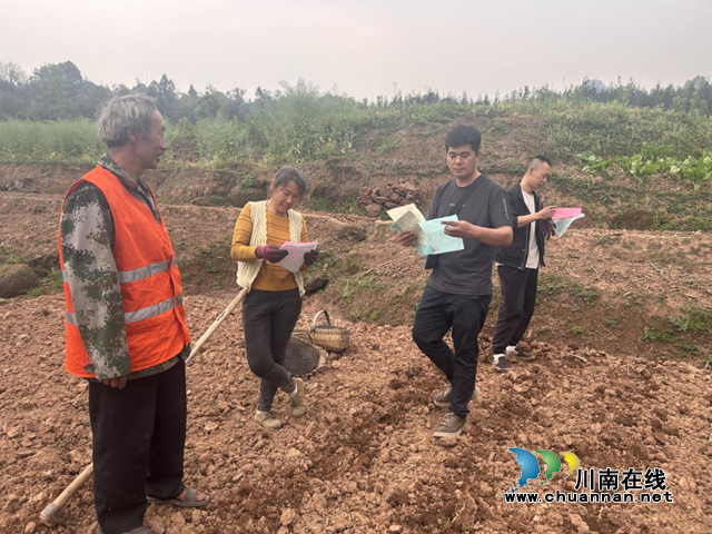 合江县福宝镇:森林防灭火,人大代表在行动(图2) 宝2.png