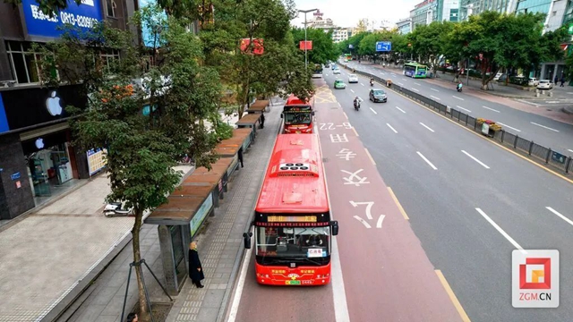 自贡出新规：下月起，新能源车全天可走公交道