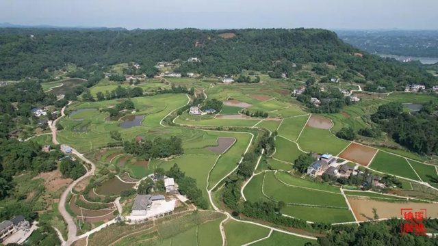 纳溪:兴水惠民 助推乡村振兴(图2) 水2.jpg