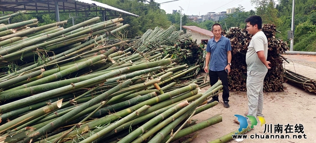 图3：竹产业让村集体和村民双增收.jpg