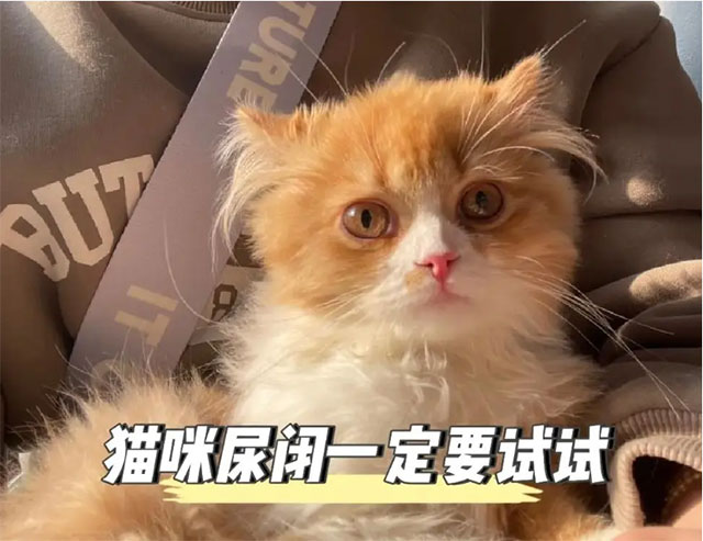 【围观】泸州21岁女子小便淋沥刺痛？