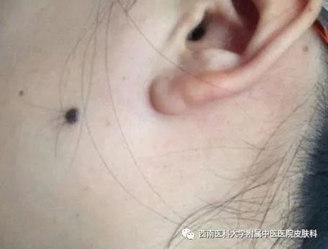 微信图片_20240614084857.jpg
