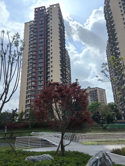 富顺:“口袋公园”盛满市民“微幸福”(图4) 富顺5.jpg