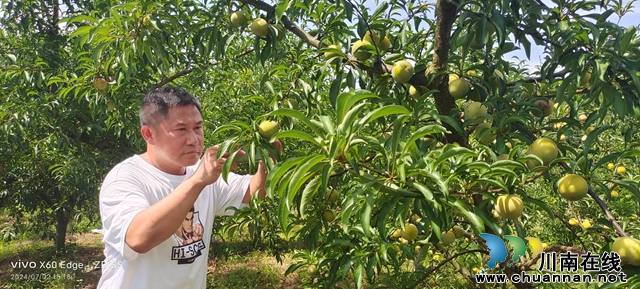 图3：钟传杰为粉碎拍照选李子.jpg