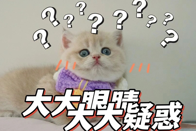 本周六！合江县中医医院儿童暑期巡回诊疗来啦！