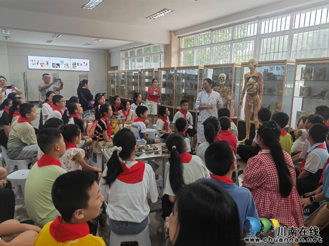 龙马潭区小市街道合道街社区开展“ 探索生命奥秘 开启科学之旅”暑期青少年活动