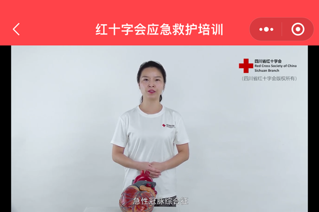 守护生命 “救”在身边丨龙马潭区法院举办红十字救护员培训