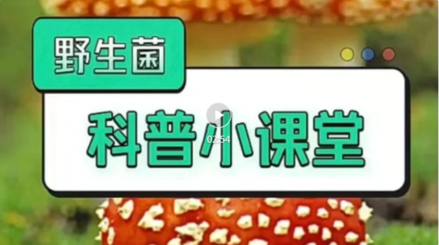 【温馨提醒】又到吃菌季，“防毒”攻略了解一下！