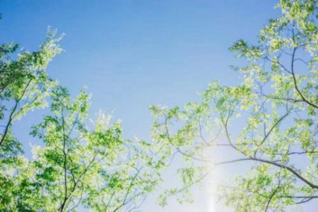 【扩散】夏天湿气重？四川省名中医除湿办法来啦