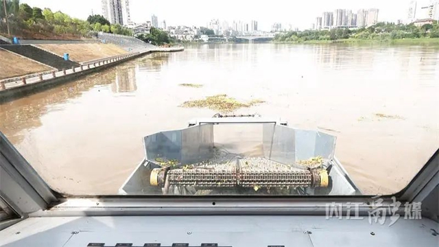 看!甜城湖上来了个“大家伙”(图5) 微信图片_20240723090715.jpg
