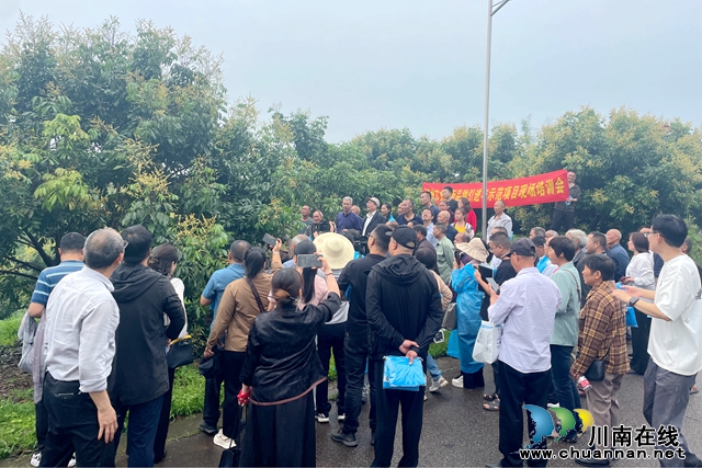 人大代表赋能 泸县潮河镇龙眼产业发展增值增效