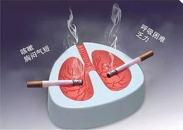 微信图片_20240802094234.jpg