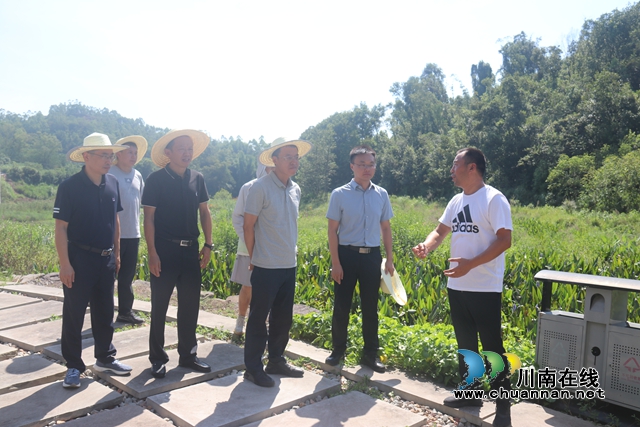 江阳区到泸县百和镇交流学习生态修复项目工作
