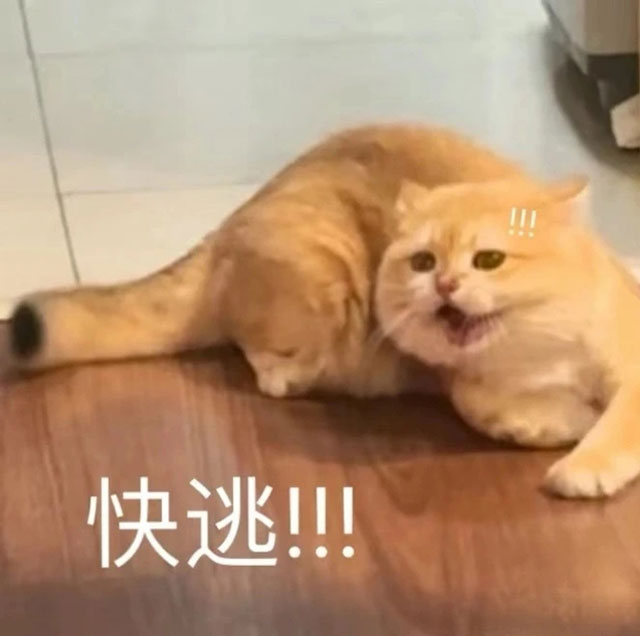 【围观】网购牛肝菌！泸州一家4口中毒入院
