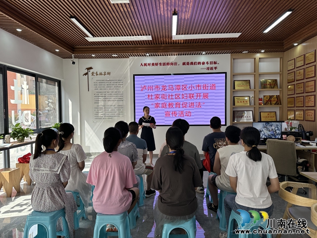 龙马潭区小市街道杜家街社区妇联开展“法律引领家教，爱心陪伴成长”宣传活动