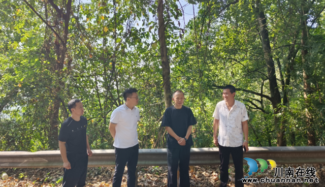 曾一洴到泸县百和镇督导森林防灭火工作