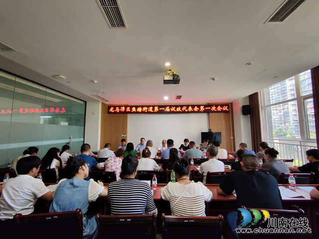 集思广益谋发展｜龙马潭区鱼塘街道第一届议政代表会第一次会议召开