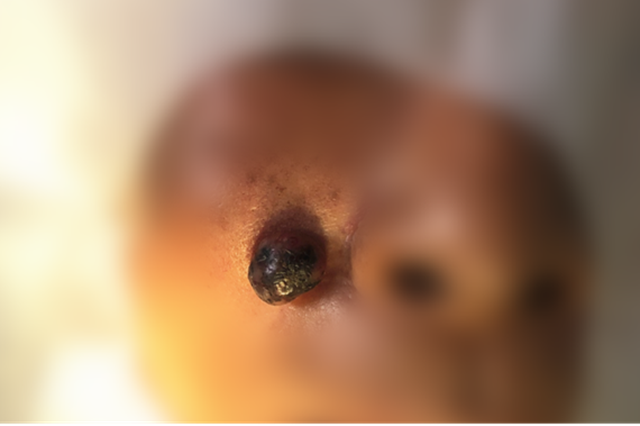 微信图片_20240904093631.png