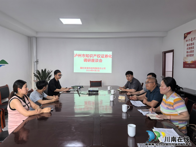 江阳区创新开展知识产权证券化工作