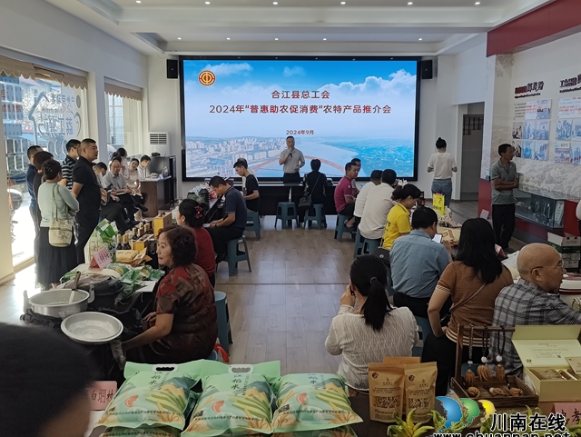 合江县总工会开展“普惠助农促消费”活动