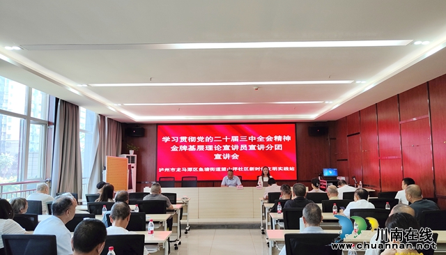 “学习贯彻党的二十届三中全会精神”金牌基层理论宣讲员宣讲分团宣讲深入龙马潭区鱼塘街道望山坪社区