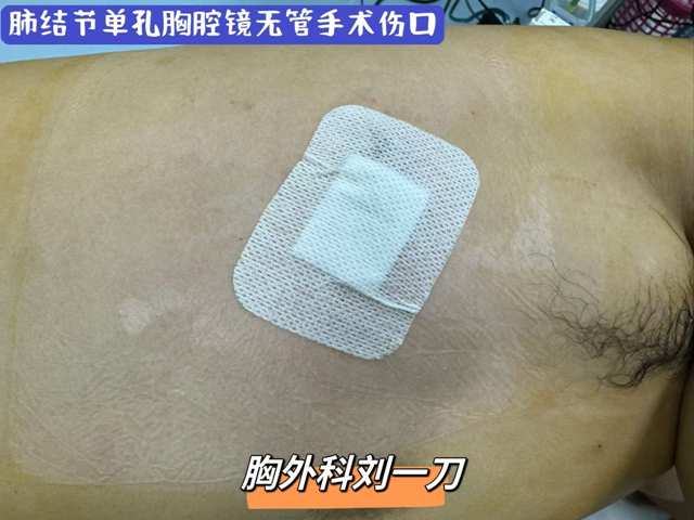微信图片_20241010090933.png