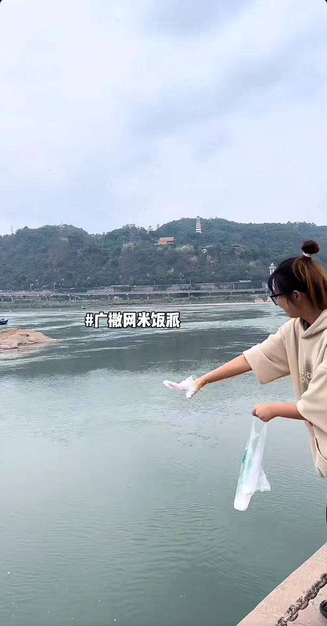 微信图片_20241010103508.png