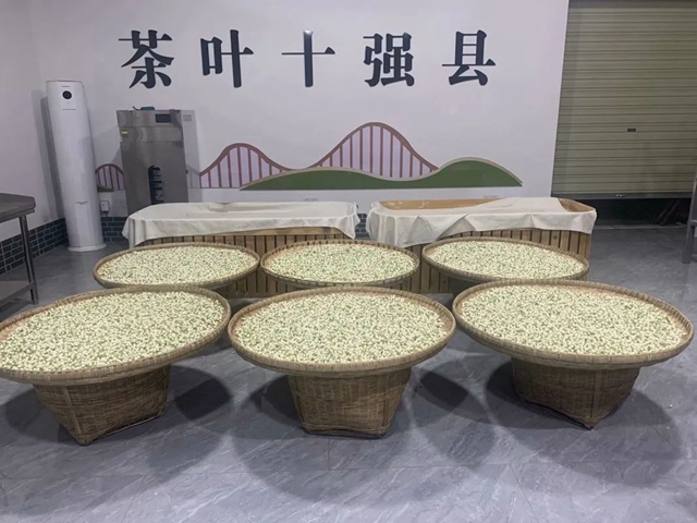 荣县这里绽放“致富花”