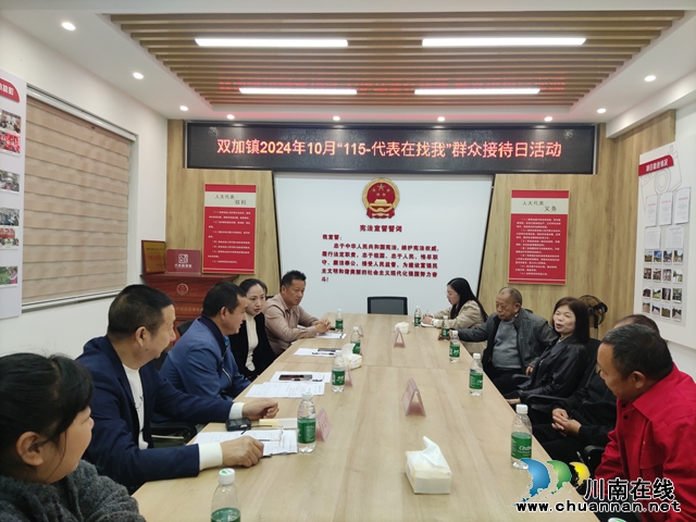 做好群众贴心人｜龙马潭区双加镇开展“115-代表在找我”群众接待日活动