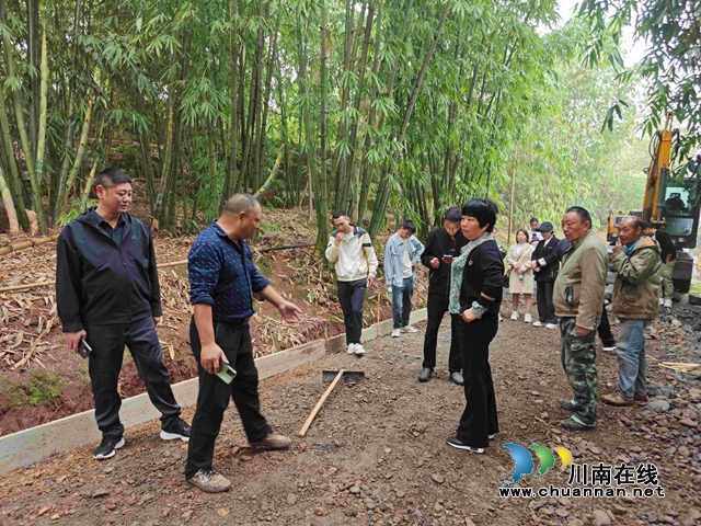 宜宾南溪区长兴镇：项目进度实地看，民生实事“代表管”