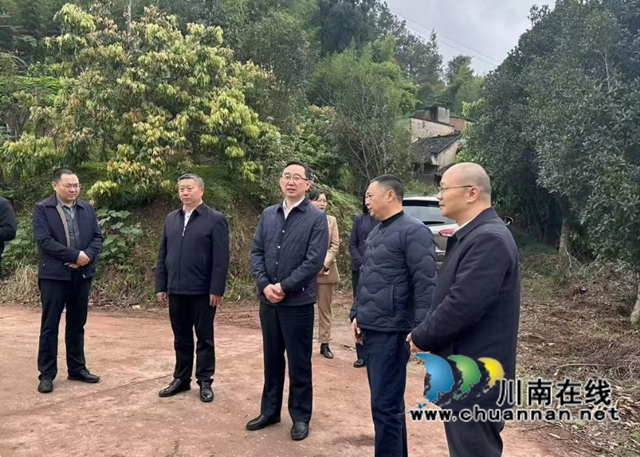 宋勇率队到泸县立石镇调研河道水系治理工程建设情况
