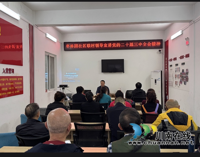 龙马潭区鱼塘街道枣林园社区：“四进小区”提升党建引领“末梢治理”效能