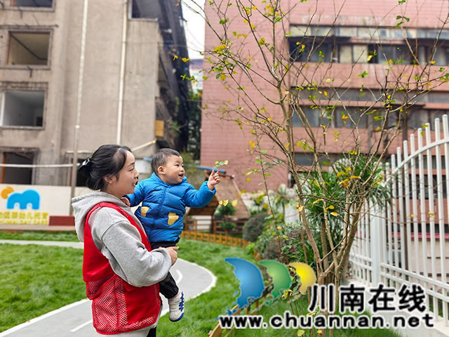 龙马潭区小市街道向日葵亲子小屋开展户外自然课堂活动