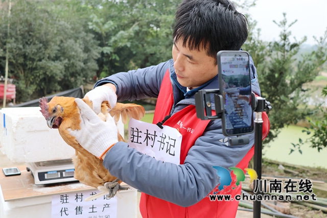 泸县立石镇：直播带货助增收 共同奔赴致富路