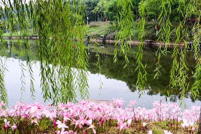 朋友圈刷屏的泸州宝藏拍照点在哪?走 巴妹儿带您打卡去~(图6) 6.jpg