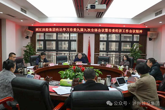 两江控股集团传达学习市委九届九次全会暨市委经济工作会议精神