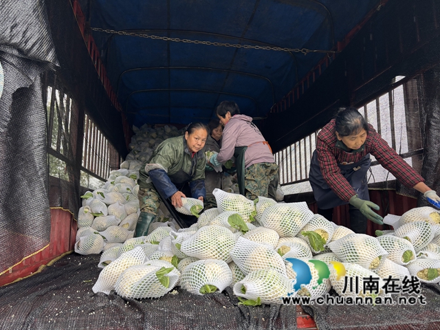 泸县嘉明镇：劳务合作社助力群众家门口就业奔小康