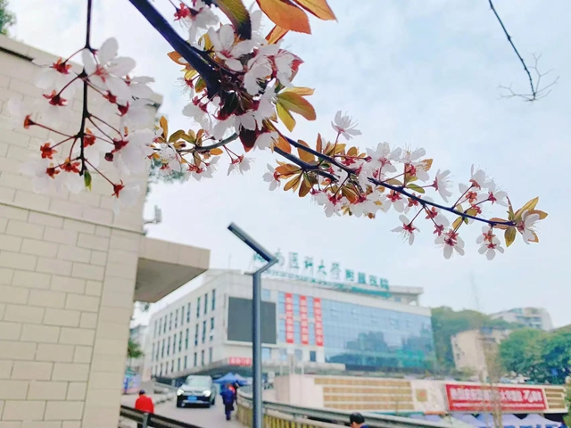 招人啦！西南医大附院2025年第二轮人才招聘简章