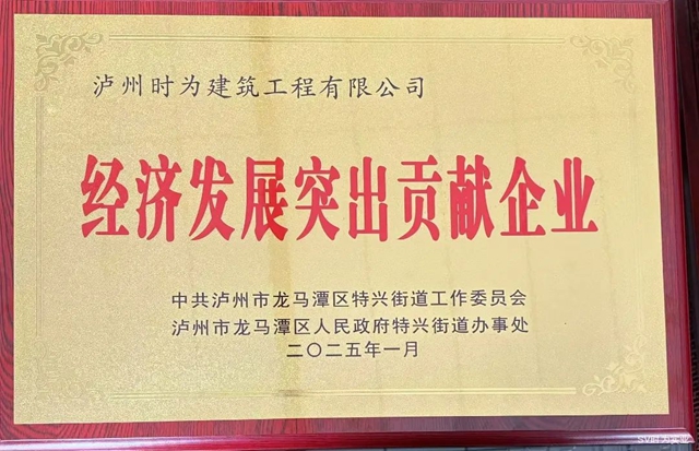 时为荣誉丨经济发展突出贡献企业