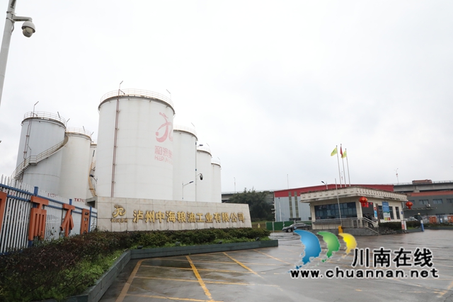 龙马潭：新年新气象 拼出“开门红”