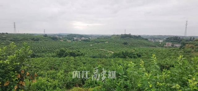 喜报！内江首个！