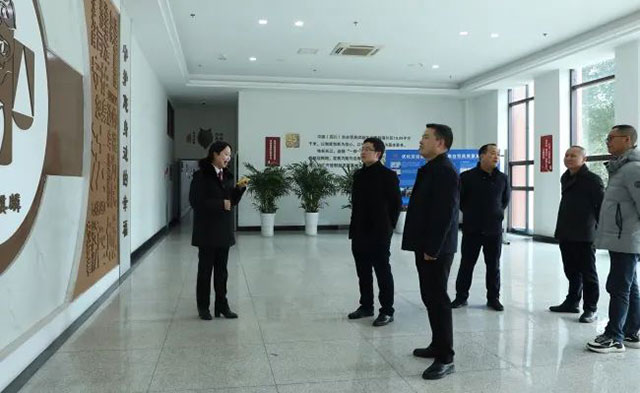 龙马潭区区委副书记周丛伟调研龙马潭区法院