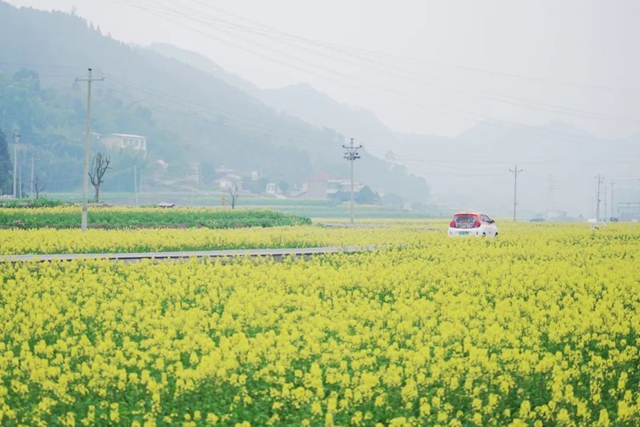 今天起！宜宾市高县这段路要交通管制