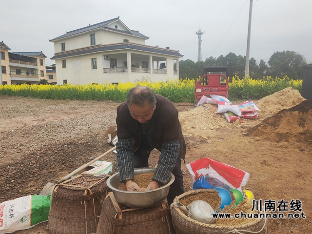 拌种（曾佐然摄）.jpg