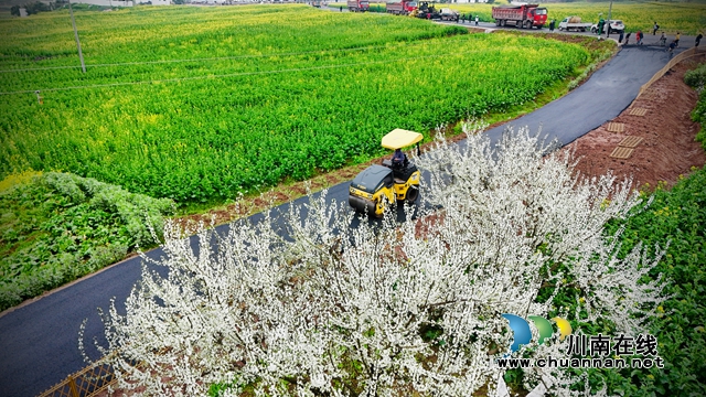 泸县百和镇给你发来“请帖”：游花海、吃火锅、听音乐、赏莲枪龙舞